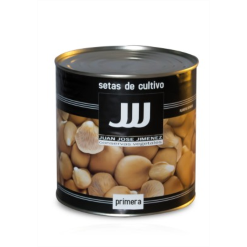 SETAS DE CARDO B.3 KG./JJJ