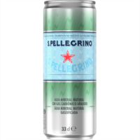 AGUA SAN PELLEGRINO LATA 33 CL/C.24/NESTLE WATERS